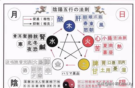 五臟對應表|五行、五臟、五官、五體、五志對應表